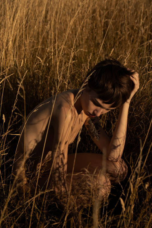 Le SUD Nature's Dance