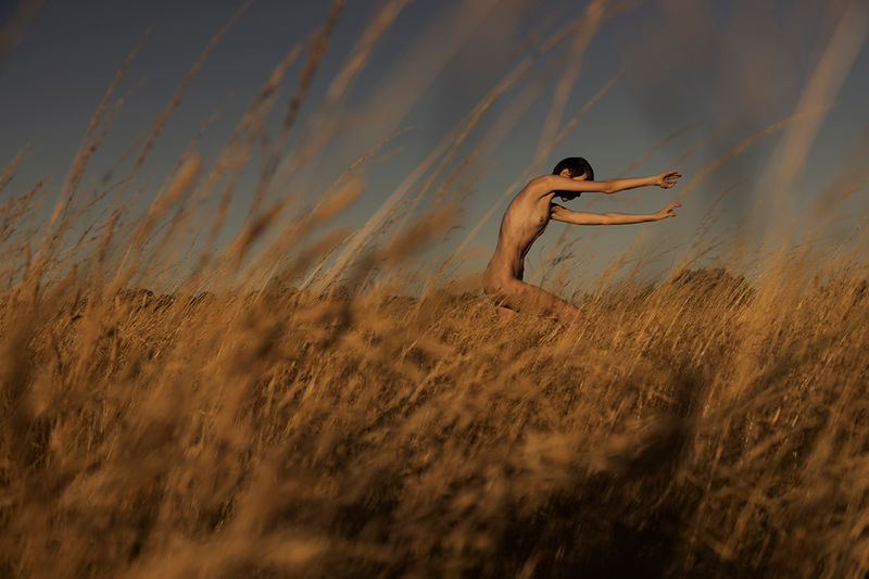 Le Sud Nature's Dance